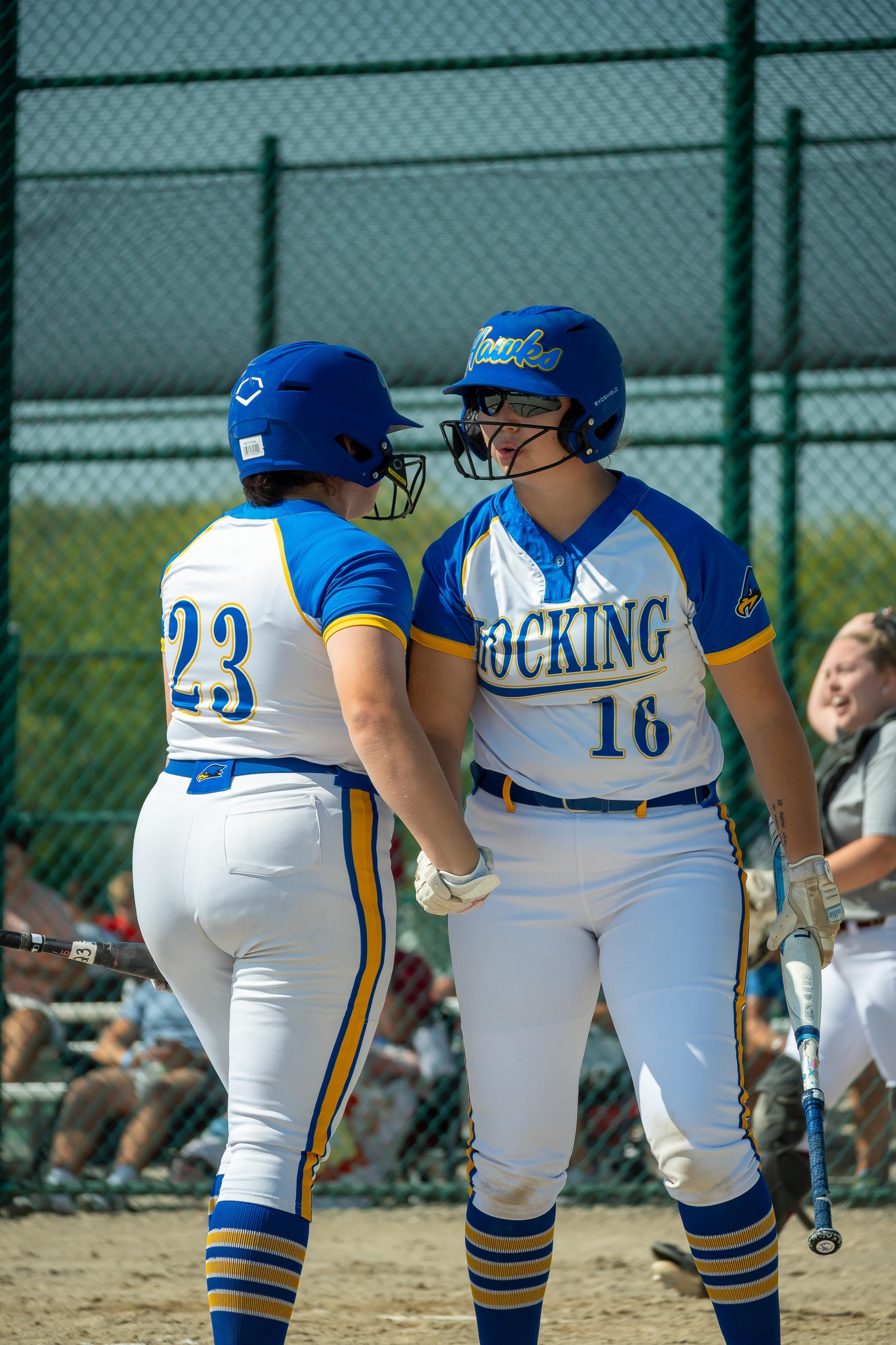 Softball sweeps Owens