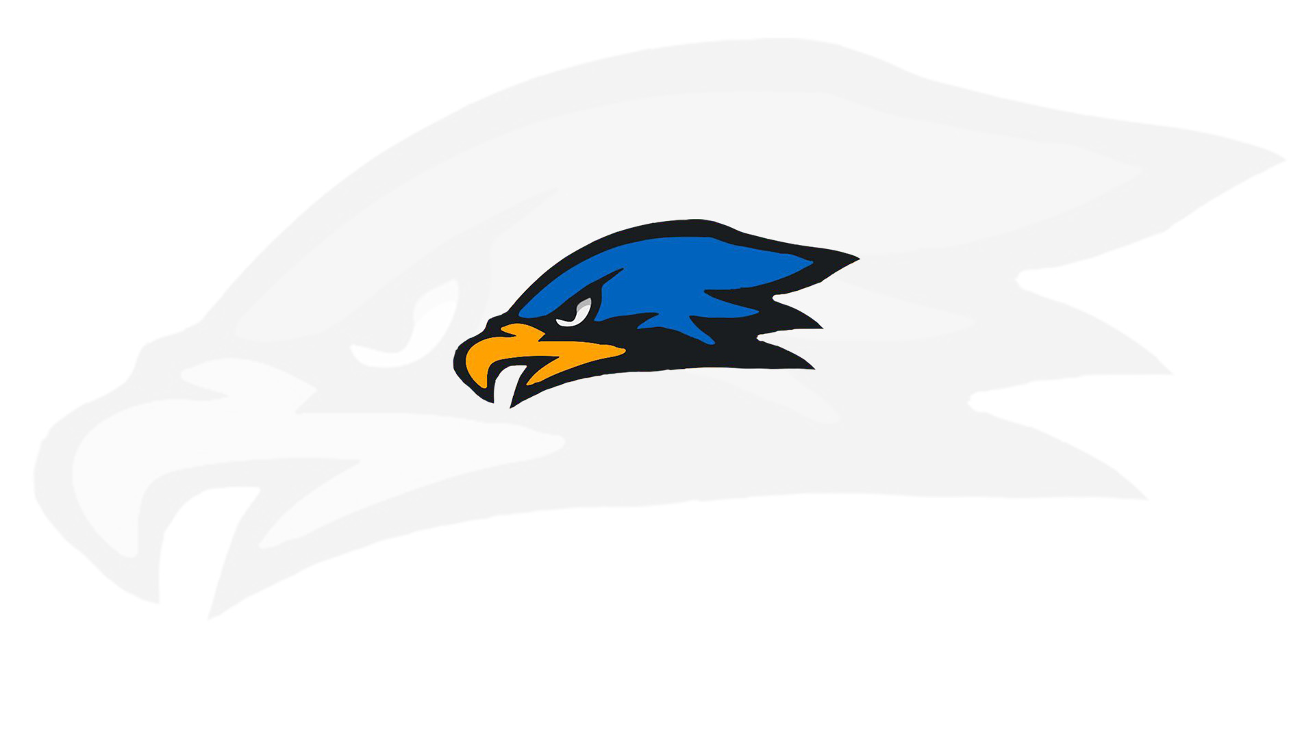 Hawks punch ticket to D2 Nationals